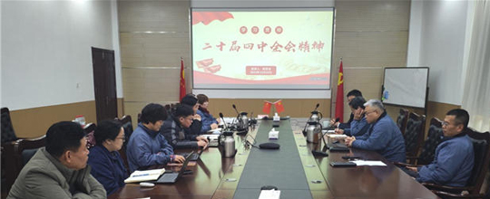 <b>賽摩智能黨總支組織召開(kāi)黨的二十屆四中全會(huì )精</b>