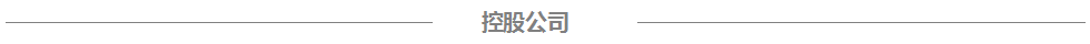 賽摩電氣控股公司